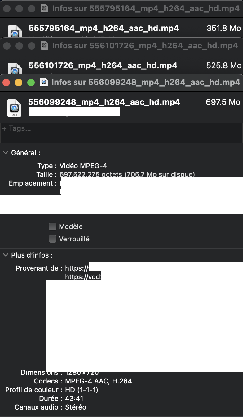 Informations de la vidéo : durée 43:41, 1280×720, HD — « LA ZONE » (vidéo 2), vidéo privée
