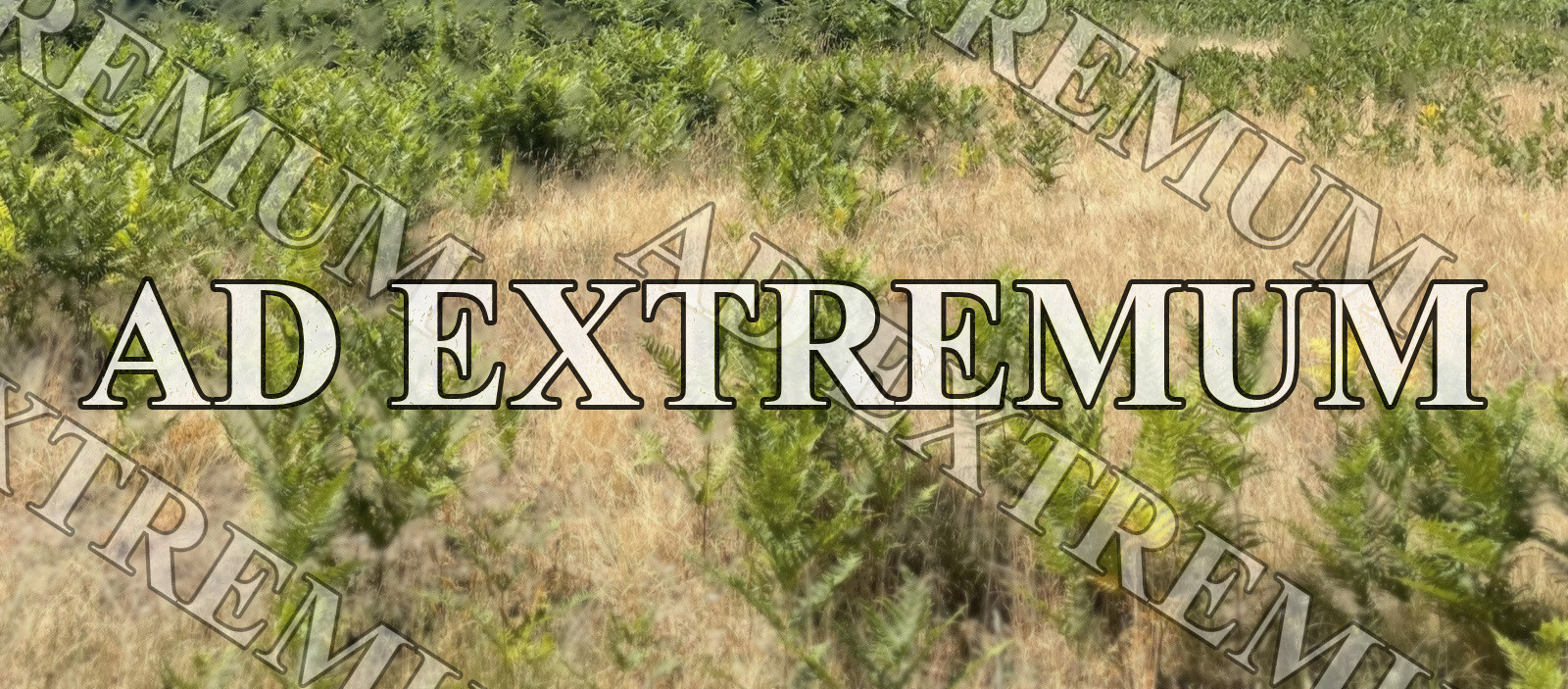 La zone — relevé de terrain