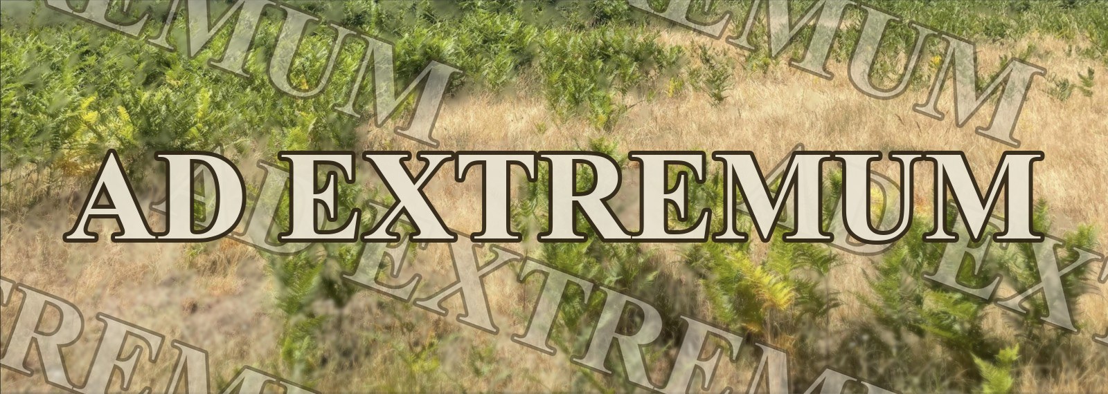 Relevé de terrain