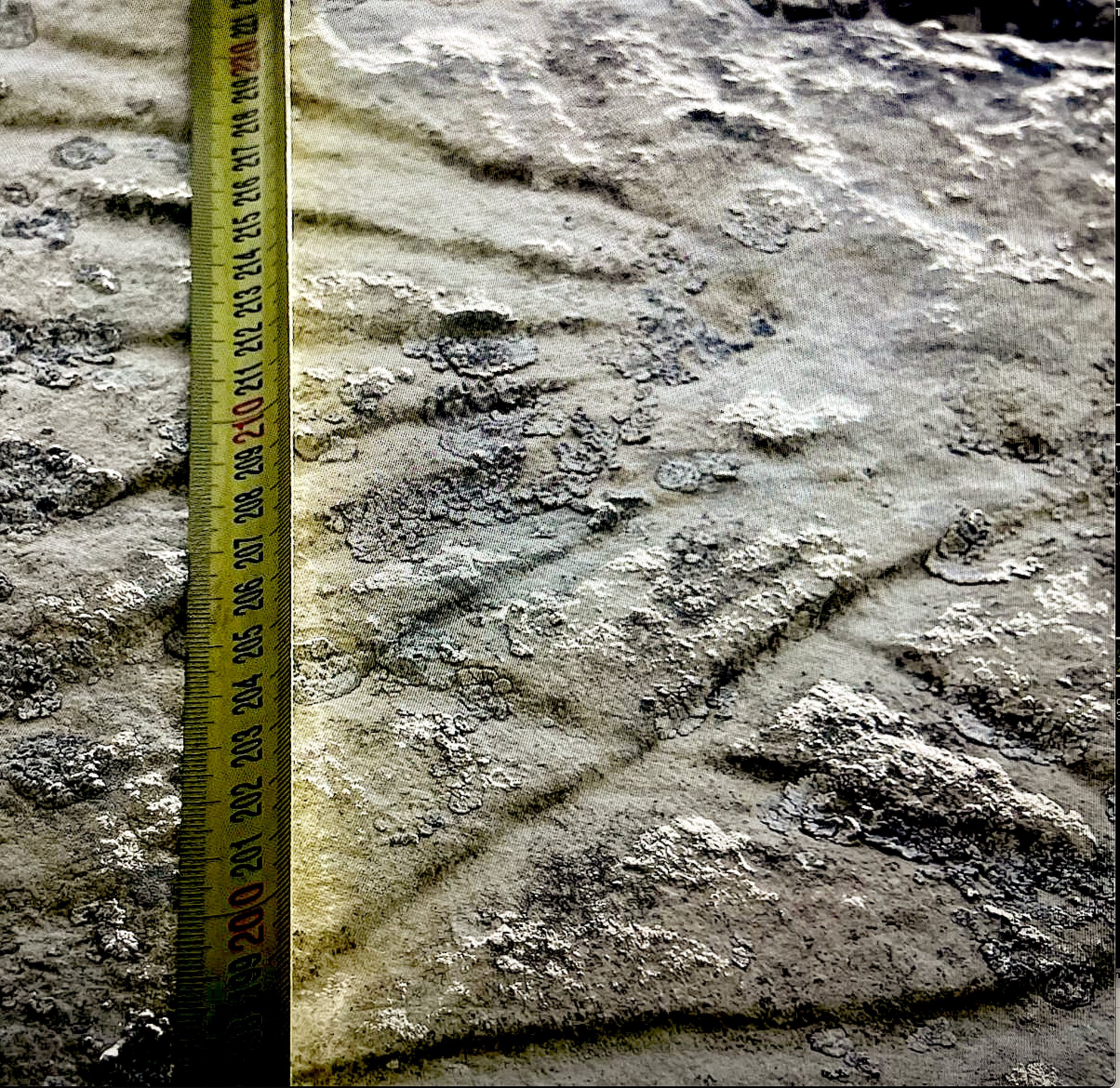 Mesure de la gravure au mètre ruban (200 à 220)